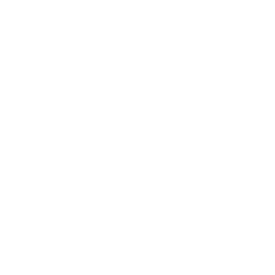 Dice